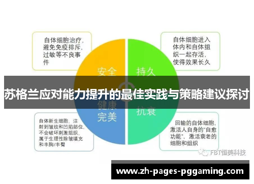 苏格兰应对能力提升的最佳实践与策略建议探讨