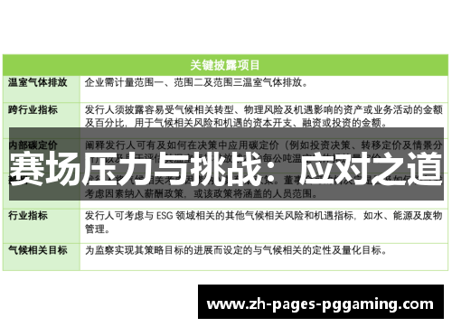 赛场压力与挑战:应对之道 赛场压力与挑战:应对之道
